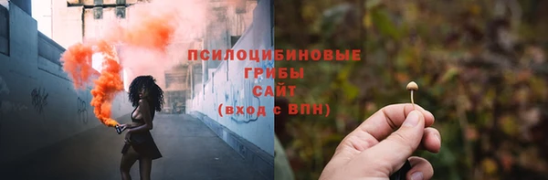 PSILOCYBIN Балабаново
