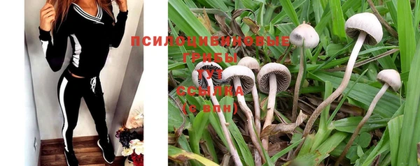 PSILOCYBIN Балабаново