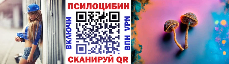 купить наркотики цена  Яровое  Псилоцибиновые грибы Cubensis 